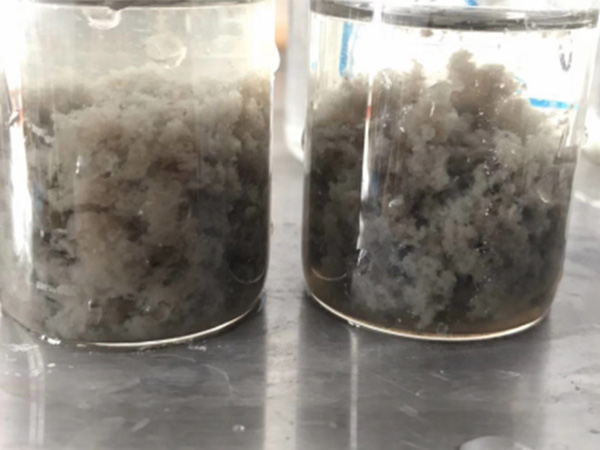 ������ˮ̎��