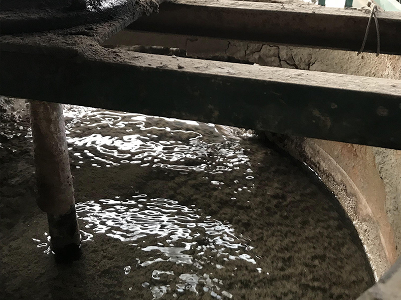 ����ϴɳ��ˮ