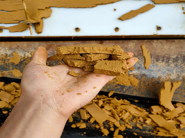 �V���F��ϴɳ�͑�